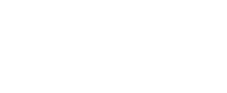 Cogito LLC